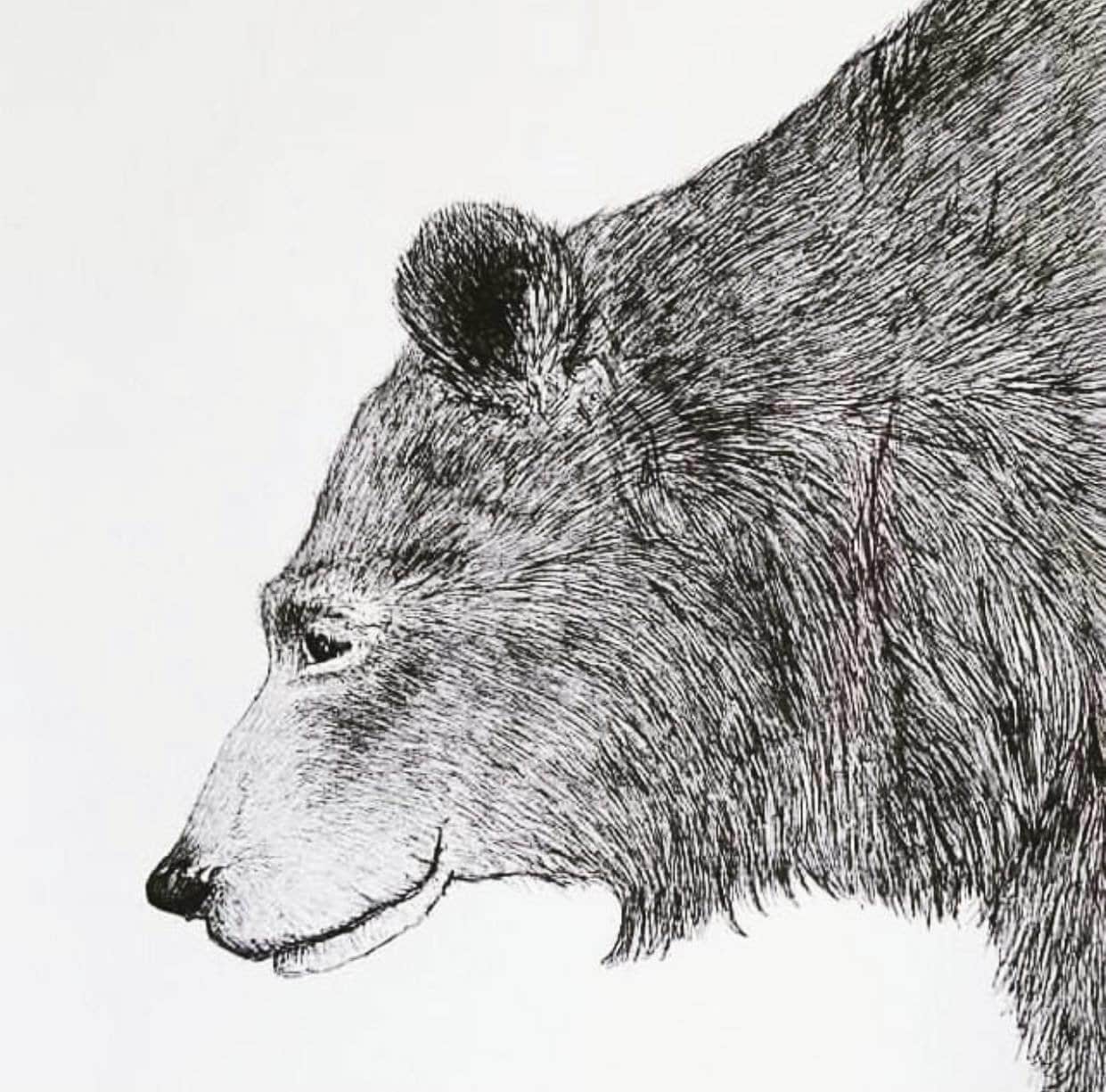 Mr Bear LTD edition print