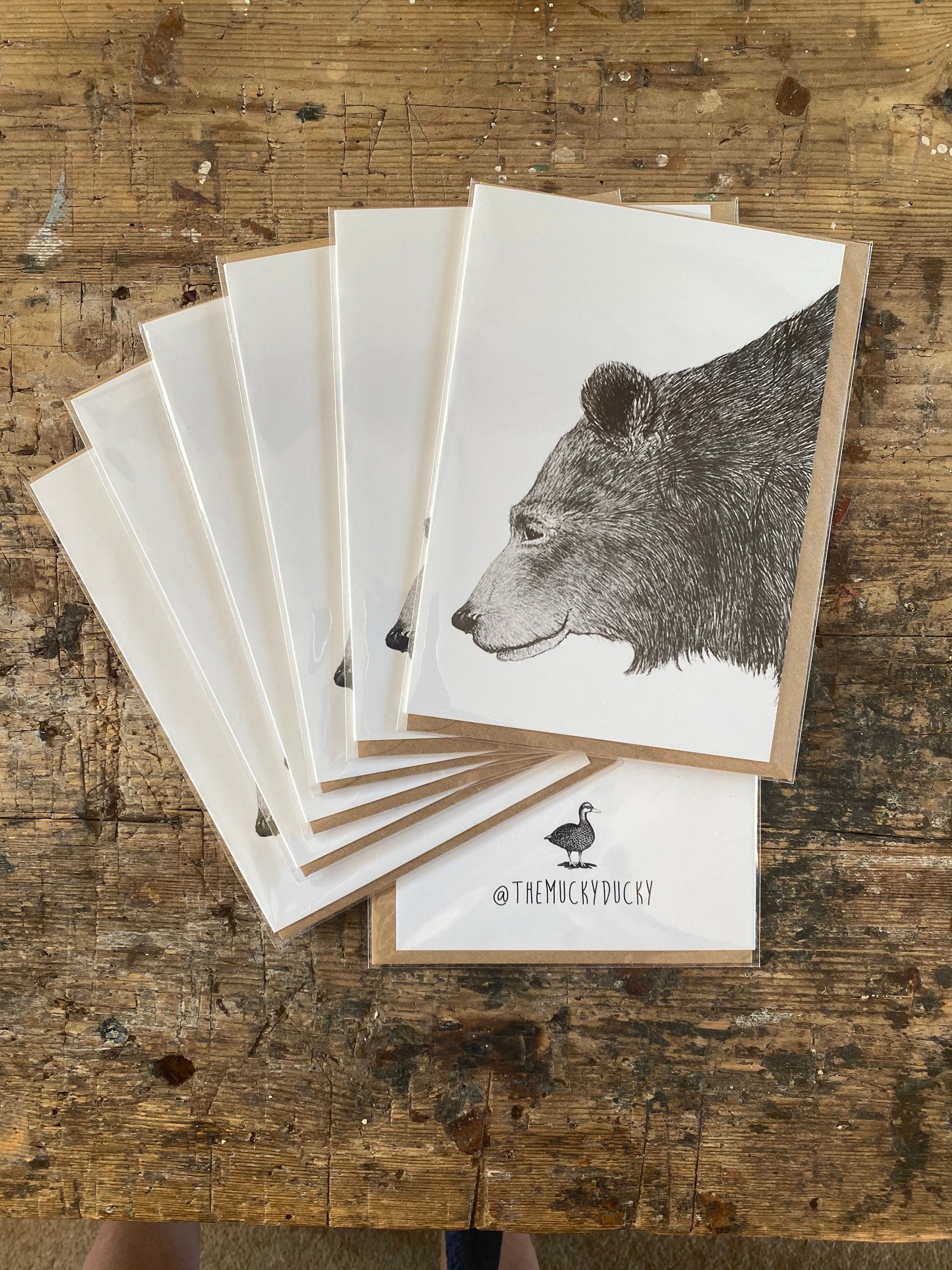 A group of hand drawn greeting cards featuring a bear drawn in pen and ink on a white background. The cards are individually wrapped in cellophane and spread in a fan shape. The Mucky Ducky logo is visible below the cards