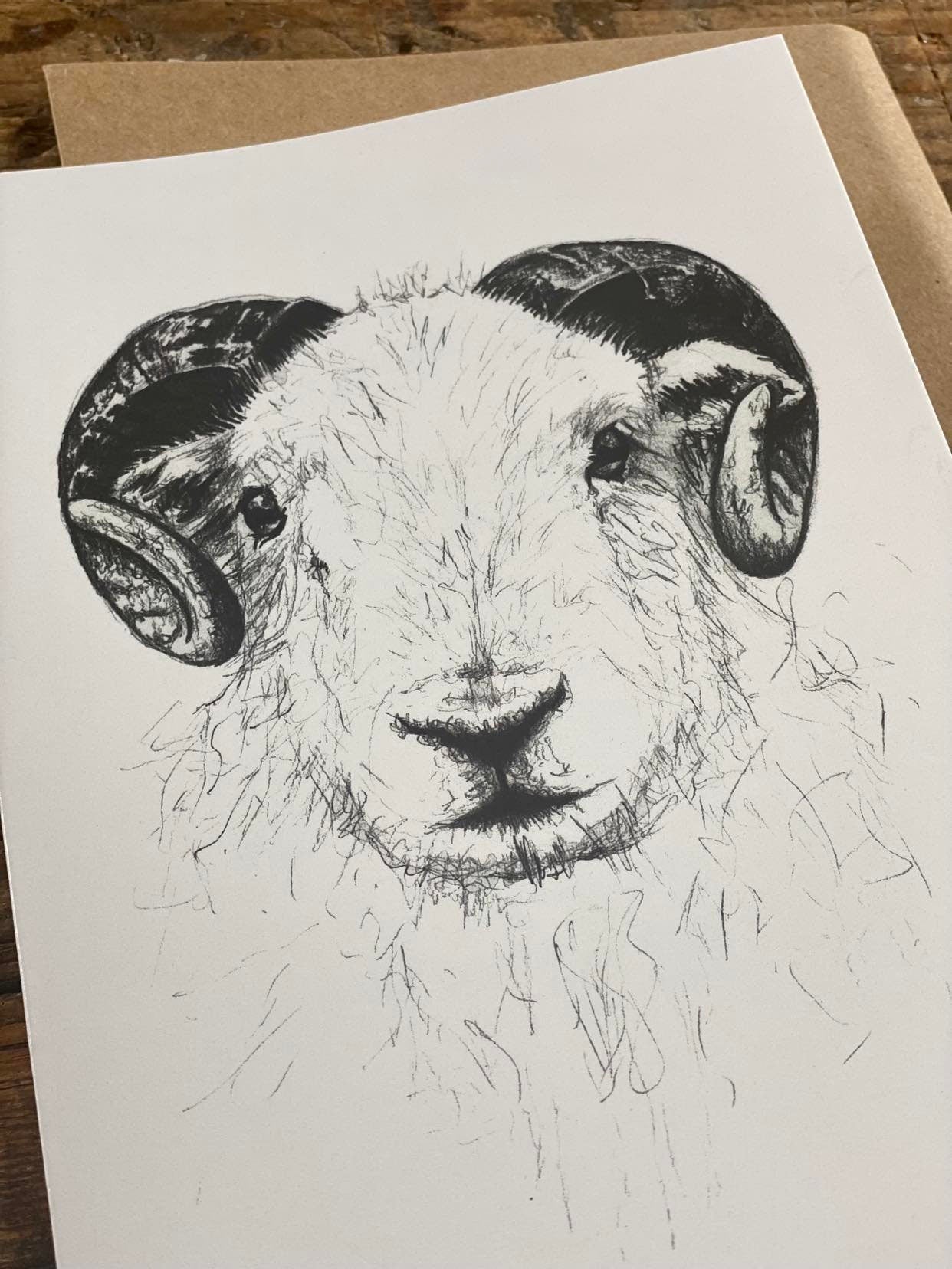 Hand illustrated Herdwick Greetings card blank